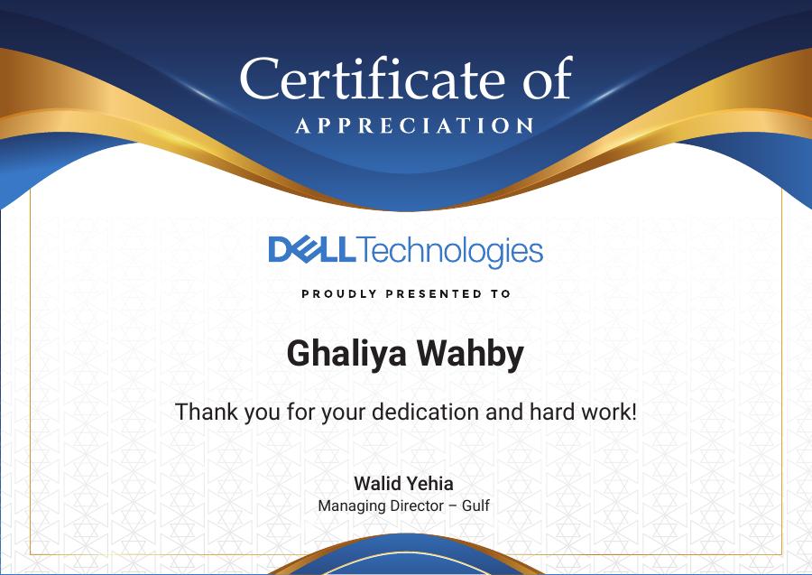 Professional Experience Certificate