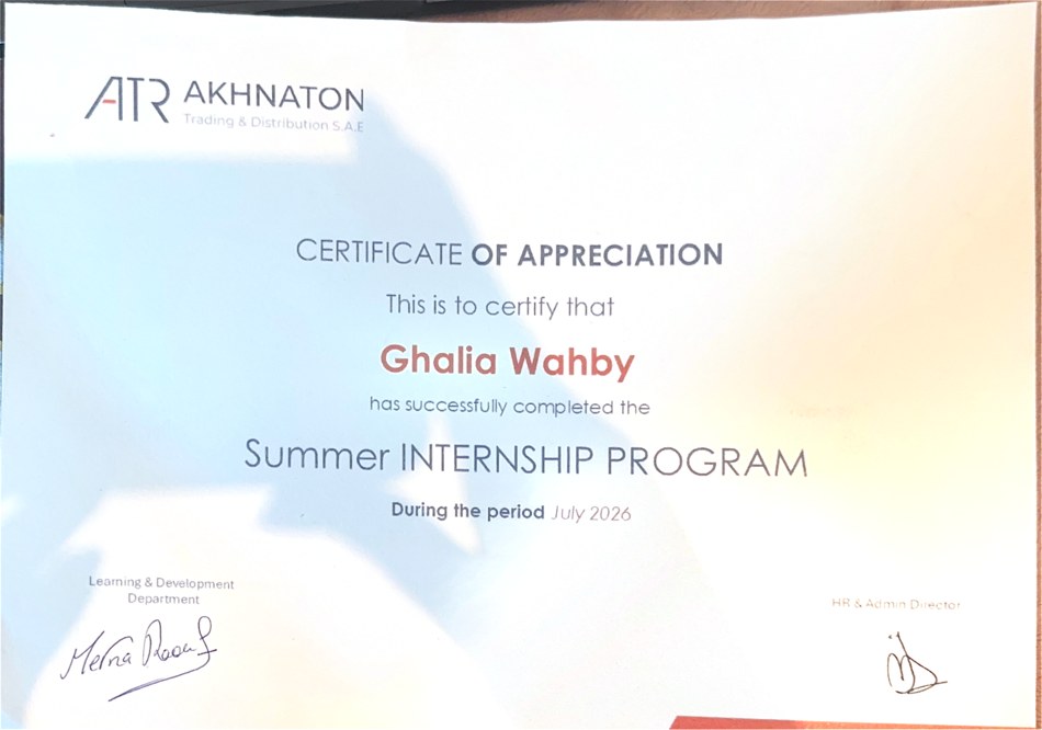 Akhnaton Summer Internship Program